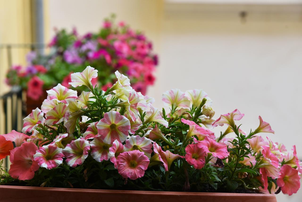 La Dolce Vita Salerno Bed & Breakfast Dış mekan fotoğraf